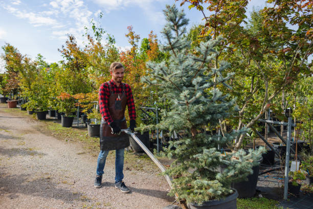 Best Arborist Consultation Services  in Upper Fruitland, NM